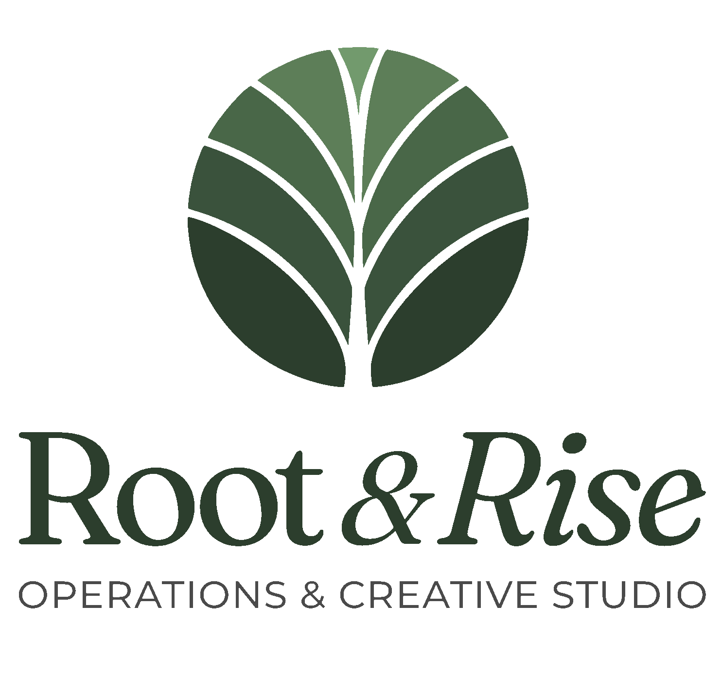 Root & Rise
